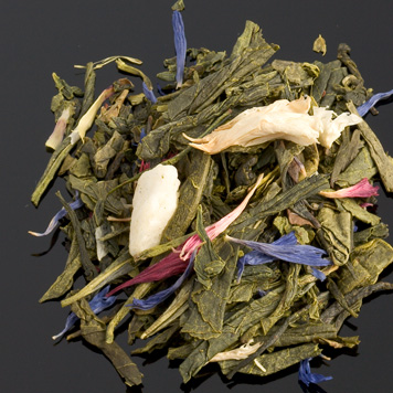 SAGA SENCHA